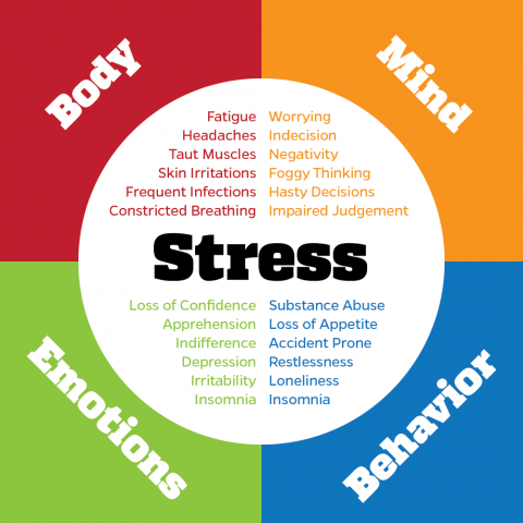 signs of stress